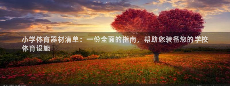 耀世娱乐下载链接安装不了：小学体育器材清单：一份全面