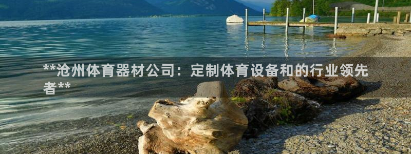 耀世国际平台正规吗可信吗安全吗：**沧州体育器材公司