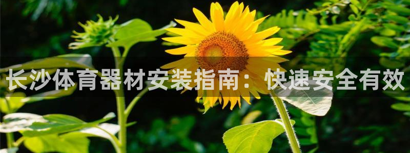 耀世娱乐脚本下载官网：长沙体育器材安装指南：快速安全