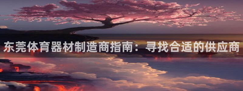 耀世的意思是什么：东莞体育器材制造商指南：寻找合适的