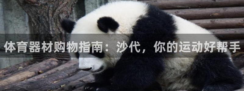 耀世平台非 41IO31 耀世：体育器材购物指南：沙