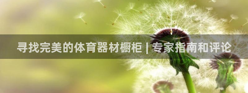 耀世平台注册登录不上怎么回事：寻找完美的体育器材橱柜