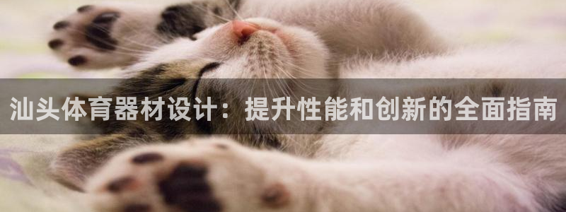 耀世集团王总：汕头体育器材设计：提升性能和创新的全面