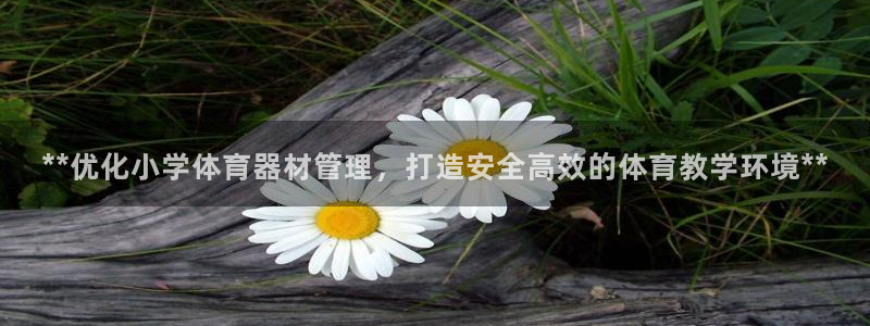 耀世娱乐注册入口：**优化小学体育器材管理，打造安全