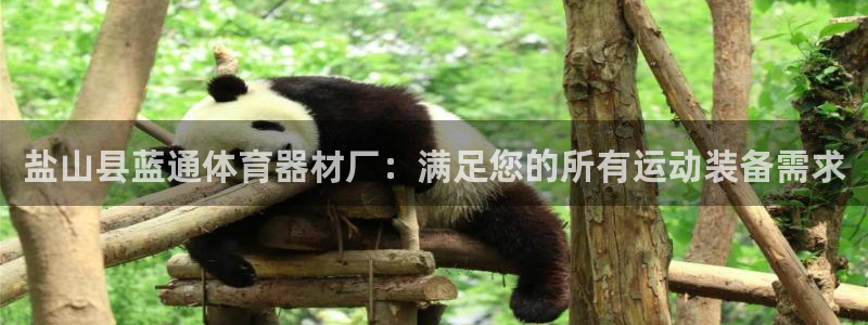 耀世平台app下载安装官网：盐山县蓝通体育器材厂：满