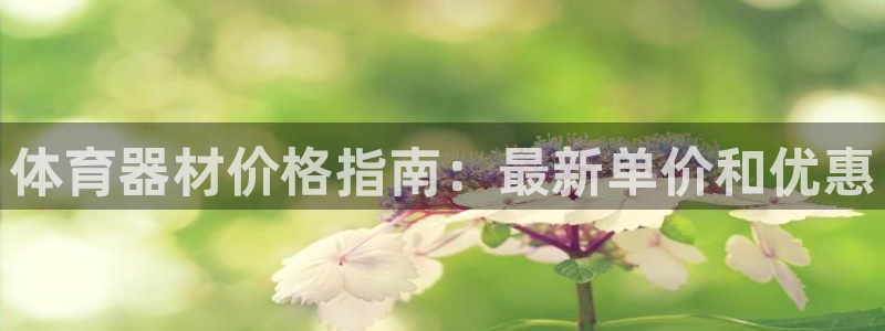 耀世国际平台正规吗安全吗可信吗：体育器材价格指南：最