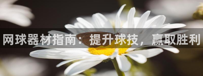 耀世娱乐代理什么待遇可以做：网球器材指南：提升球技，