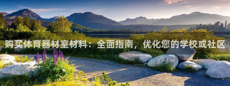 耀世平台的运营模式是什么：购买体育器材室材料：全面指