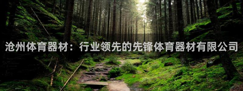 耀世娱乐官网网站入口下载：沧州体育器材：行业领先的先