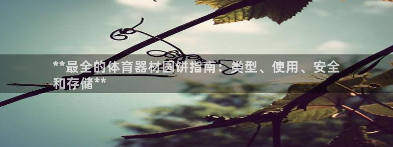耀世集团董事长简介：**最全的体育器材圆饼指南：类型