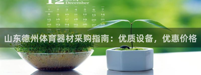 耀世雷霆下载：山东德州体育器材采购指南：优质设备，优