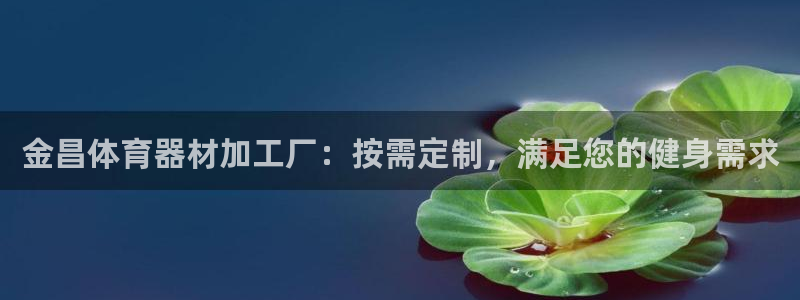 耀世挑战怎么打：金昌体育器材加工厂：按需定制，满足您