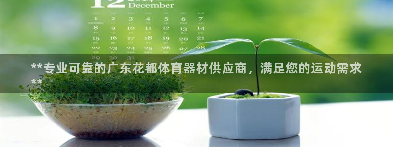 耀世娱乐官网注册：**专业可靠的广东花都体育器材供应