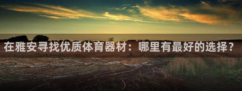 耀世平台注册流程：在雅安寻找优质体育器材：哪里有最好