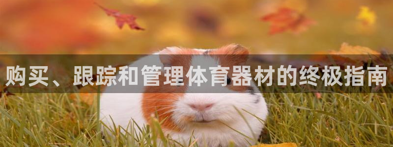 耀世集团北京快三是真的吗：购买、跟踪和管理体育器材的