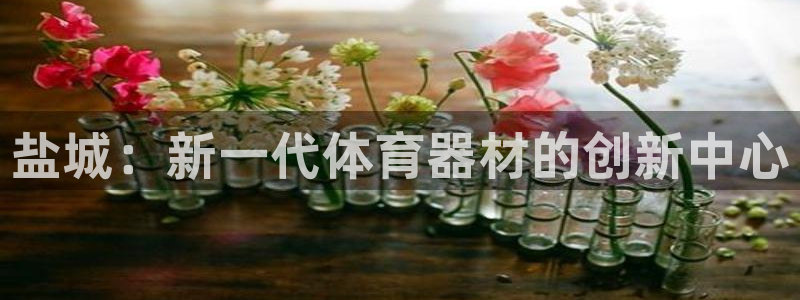 耀世平台网址：盐城：新一代体育器材的创新中心