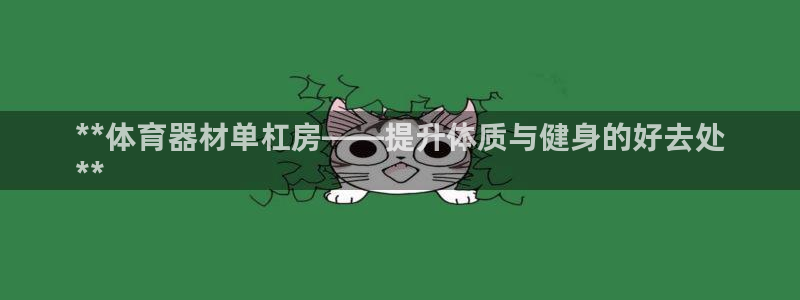 耀世游戏：**体育器材单杠房——提升体质与健身的好去