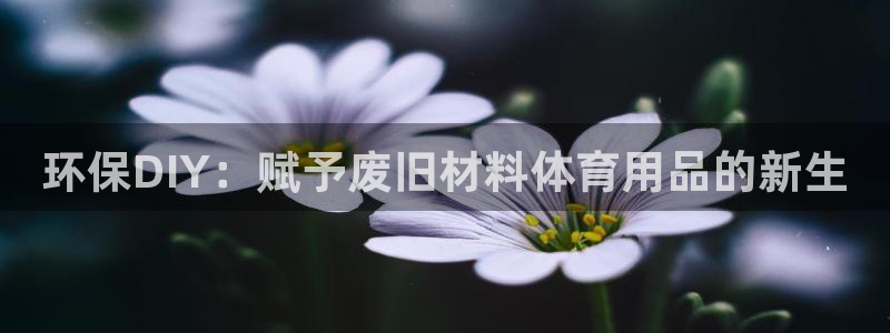 耀世娱乐在线登录官网入口：环保DIY：赋予废旧材料体