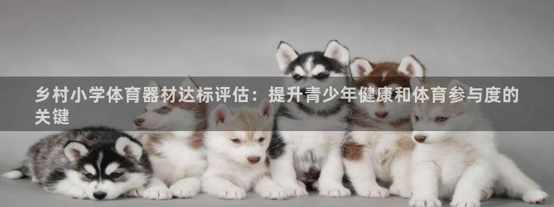 耀世平台哪个彩种是公平彩：乡村小学体育器材达标评估：