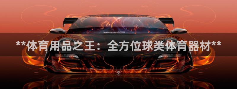 耀世集团视频介绍：**体育用品之王：全方位球类体育器
