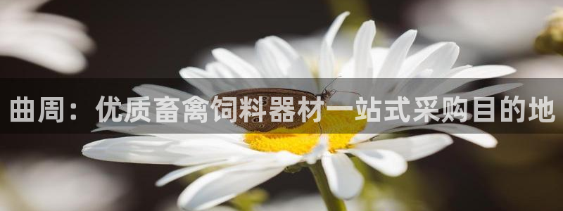 耀世娱乐注册官网：曲周：优质畜禽饲料器材一站式采购目
