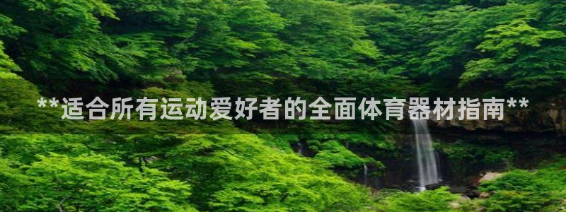 耀世楼盘：**适合所有运动爱好者的全面体育器材指南*