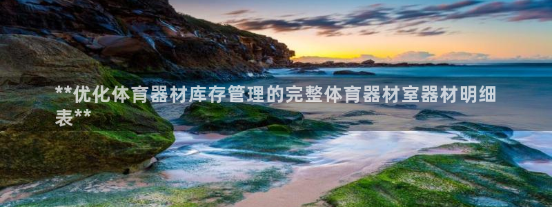 耀世是什么游戏：**优化体育器材库存管理的完整体育器