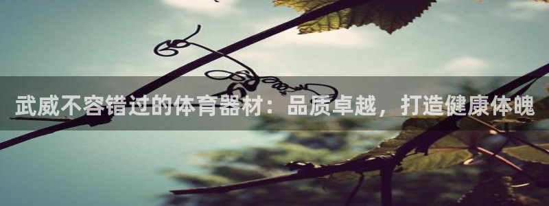 耀世娱乐官网首页登录不了：武威不容错过的体育器材：品