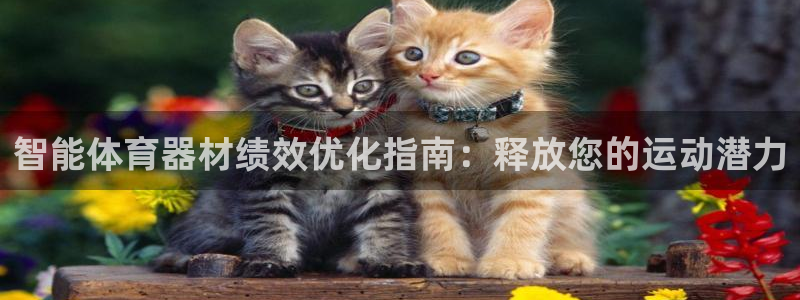 耀世娱乐登录地址在哪里：智能体育器材绩效优化指南：释