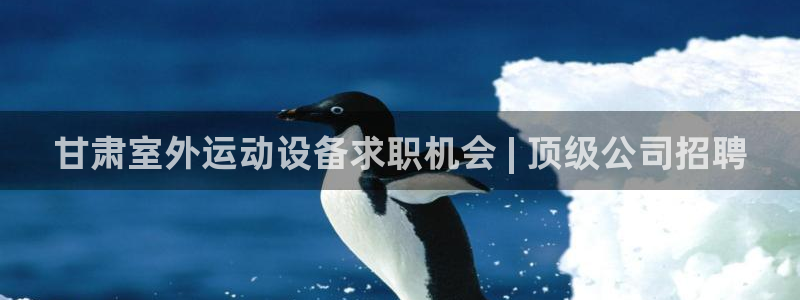 耀世平台有很多登录地址怎么回事：甘肃室外运动设备求职