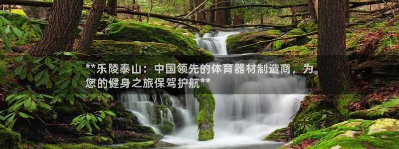耀世平台app下载：**乐陵泰山：中国领先的体育器材
