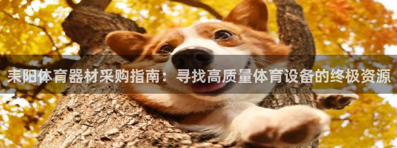 耀世集团视频介绍下载：耒阳体育器材采购指南：寻找高质