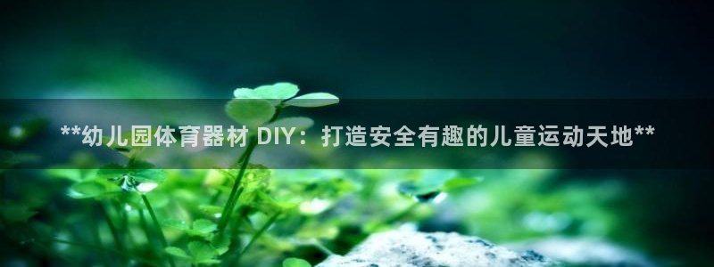 耀世平台注册登录不上怎么回事：**幼儿园体育器材 D