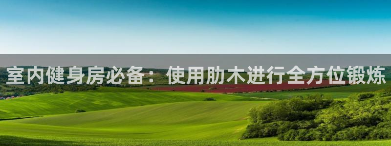 耀世娱乐官网注册账号：室内健身房必备：使用肋木进行全