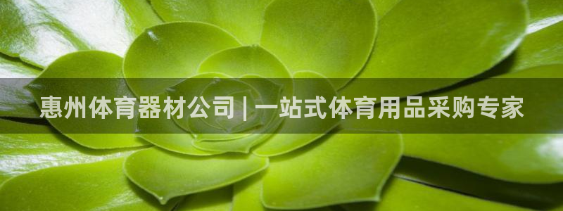 耀世平台开户要求：惠州体育器材公司 | 一站式体育用