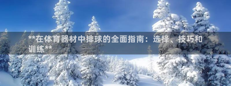 耀世平台注册网址：**在体育器材中排球的全面指南：选