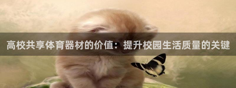 耀世平台代理多少钱一次：高校共享体育器材的价值：提升