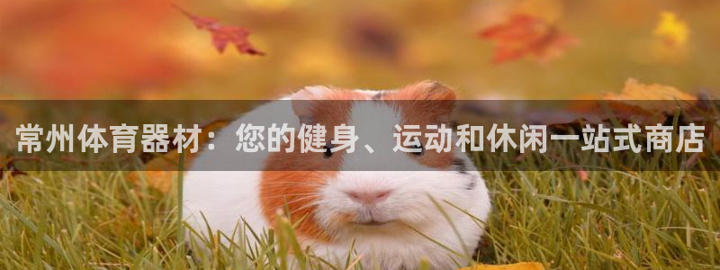 耀世娱乐辅助软件下载官网：常州体育器材：您的健身、运