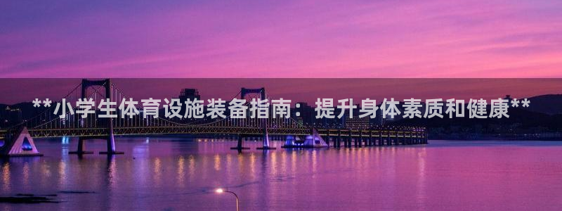 耀世集团王大聪图片：**小学生体育设施装备指南：提升