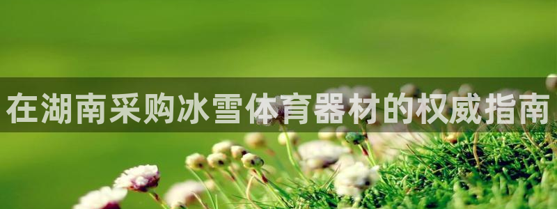 耀世楼盘：在湖南采购冰雪体育器材的权威指南