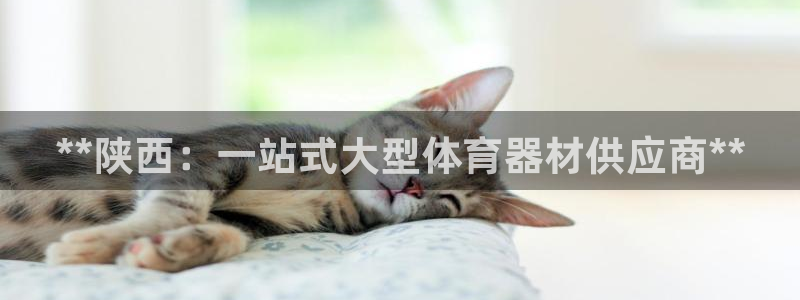 耀世集团是干嘛的企业啊怎么样：**陕西：一站式大型体