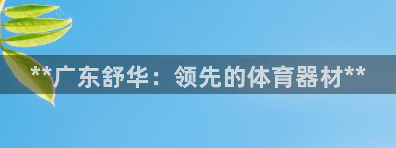 耀世娱乐是不是赚钱：**广东舒华：领先的体育器材**
