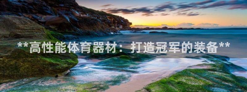 耀世来袭：**高性能体育器材：打造冠军的装备**