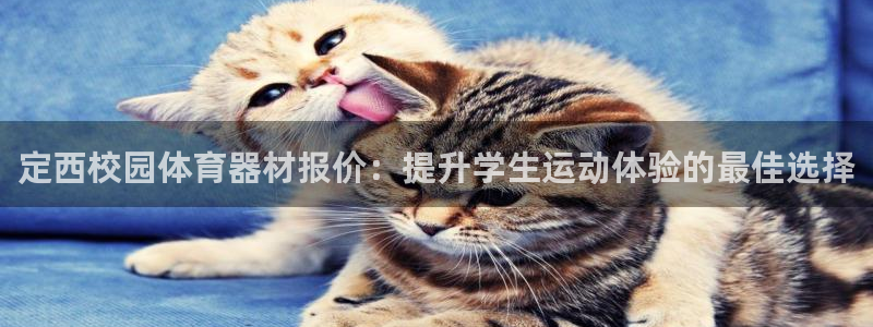 耀世天下是什么意思啊：定西校园体育器材报价：提升学生