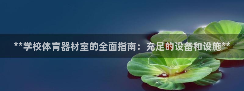 耀世捷科技：**学校体育器材室的全面指南：充足的设备