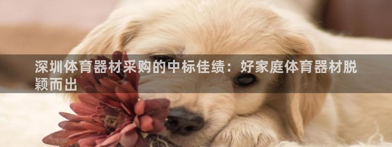 耀世盛典手游下载：深圳体育器材采购的中标佳绩：好家庭