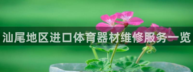 耀世娱乐辅助软件下载官网：汕尾地区进口体育器材维修服