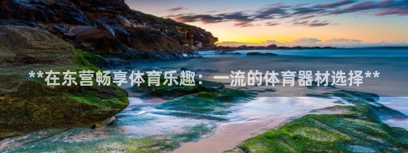 耀世平台是黑台子吗知乎：**在东营畅享体育乐趣：一流