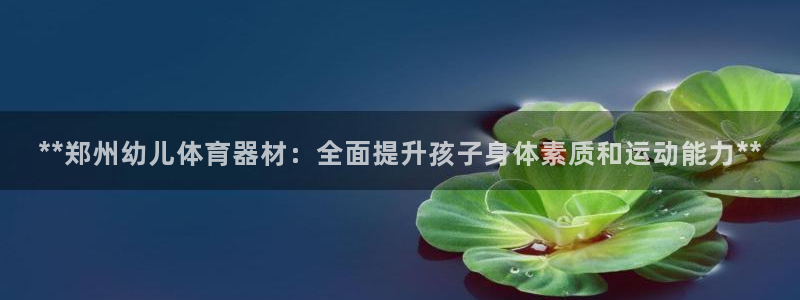 耀世首开什么意思：**郑州幼儿体育器材：全面提升孩子