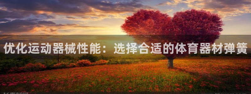 耀世娱乐是玛雅旗下的吗是真的吗：优化运动器械性能：选